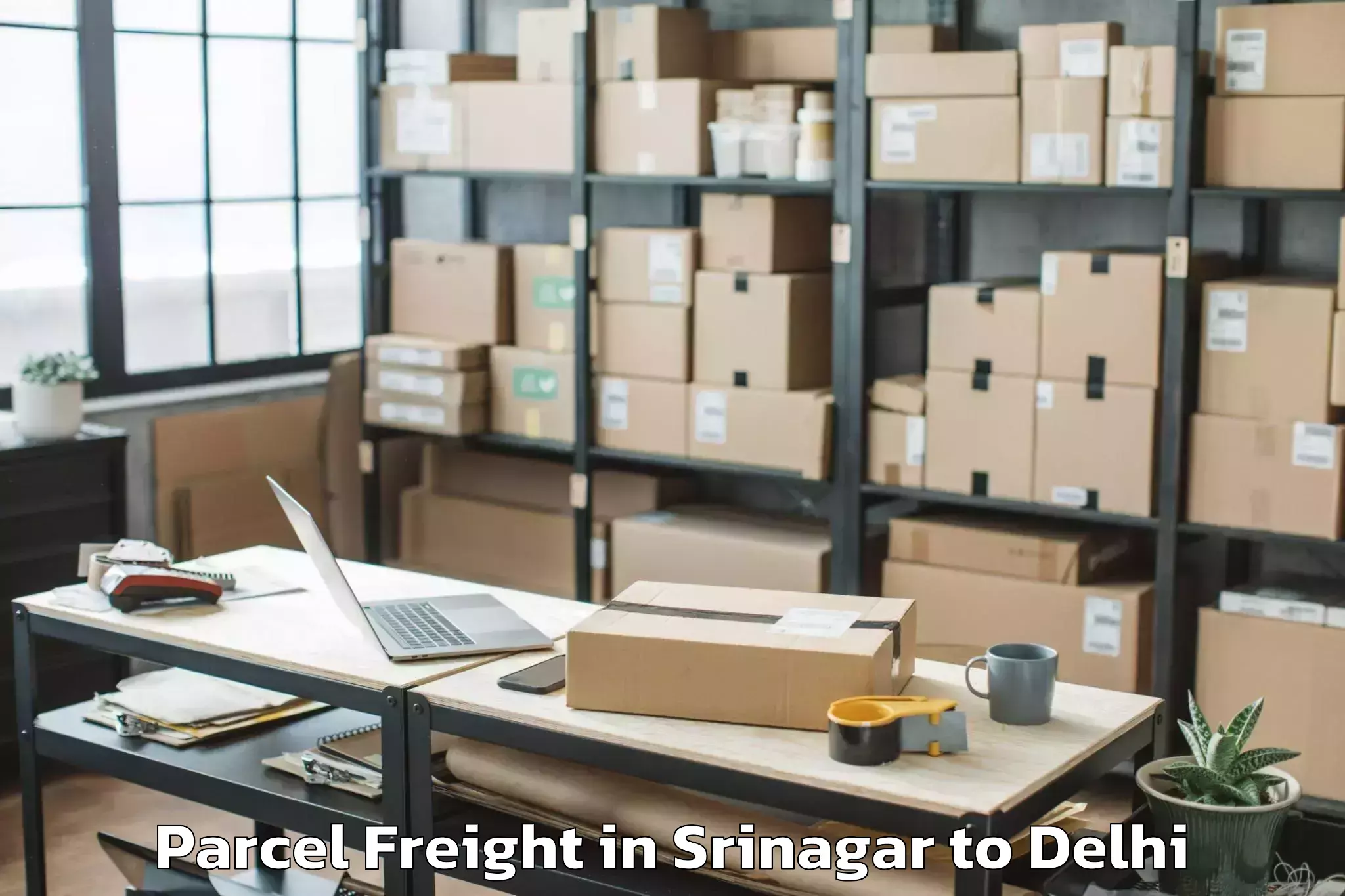 Easy Srinagar to Hauz Khas Parcel Freight Booking